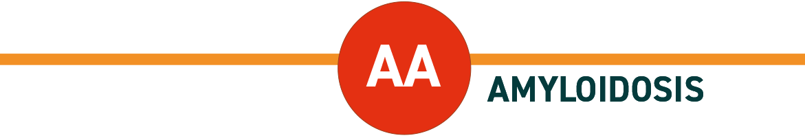 AA Amyloidosis title