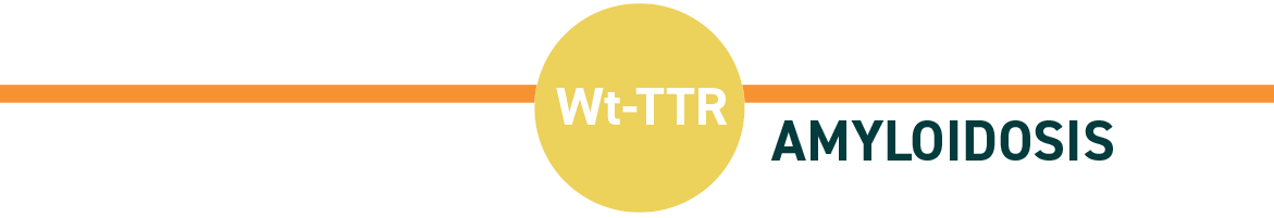 wt-TTR Amyloidosis title