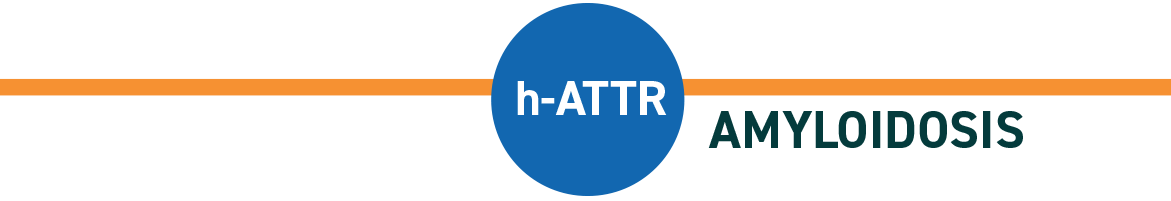 h-ATTR Amyloidosis title